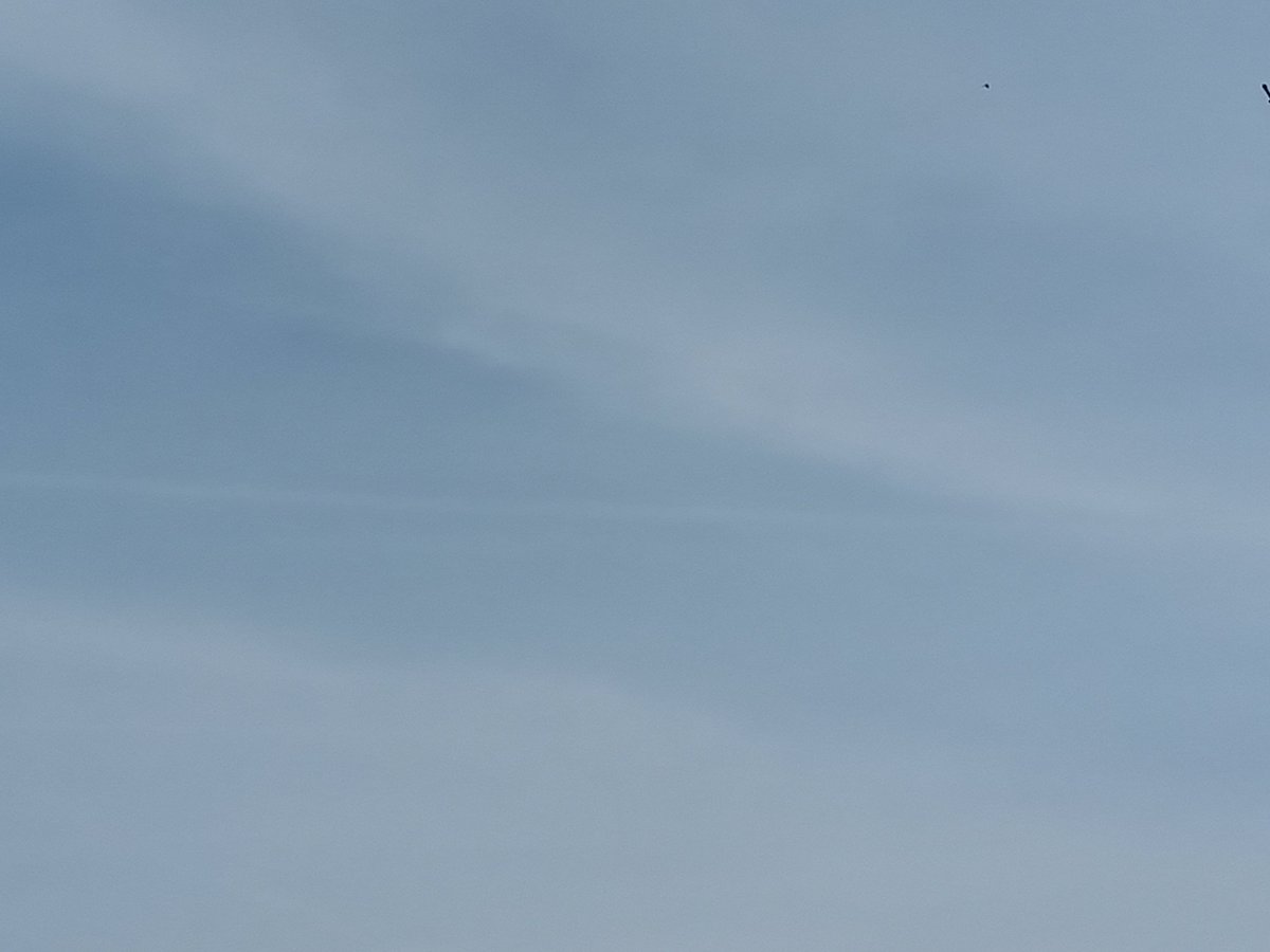 Robyn Tomos tweet media