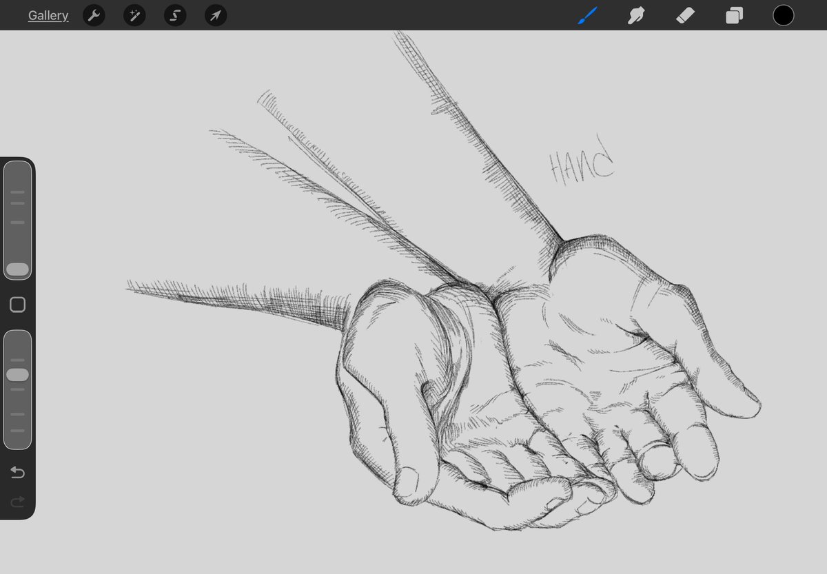 🌱🌿 tweet media