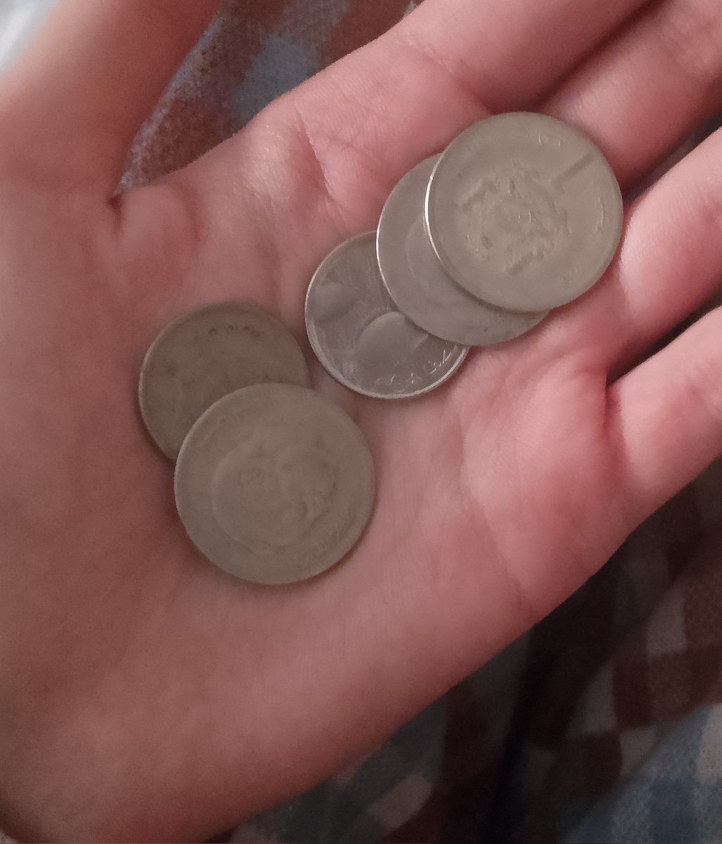 luna🌙🩷 tweet media