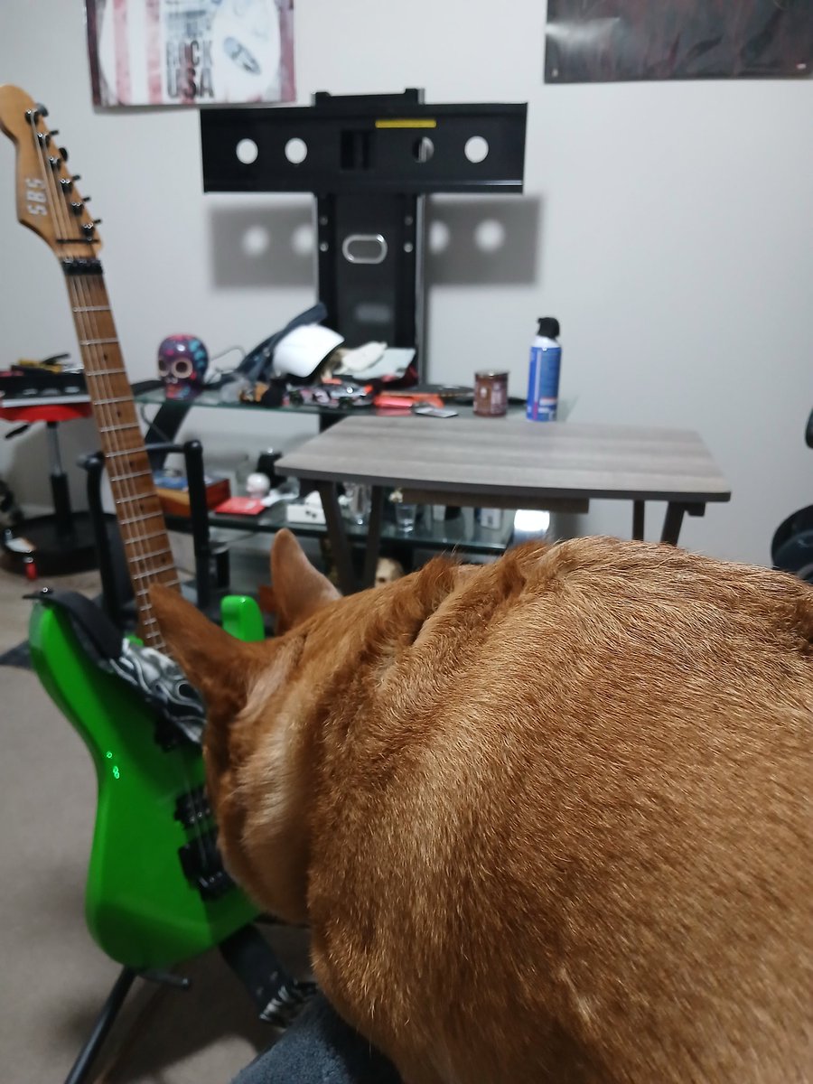 🐍SNAKE🐍🤘🤘🤘 tweet media