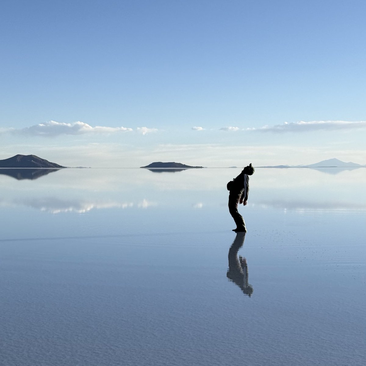 The Dutch Dispatch 🌷🪆 tweet media