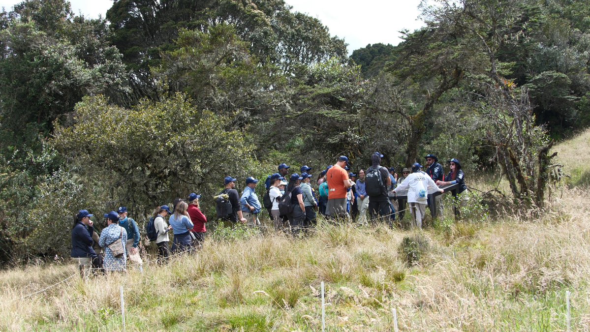 Parques Nacionales Naturales de Colombia tweet media