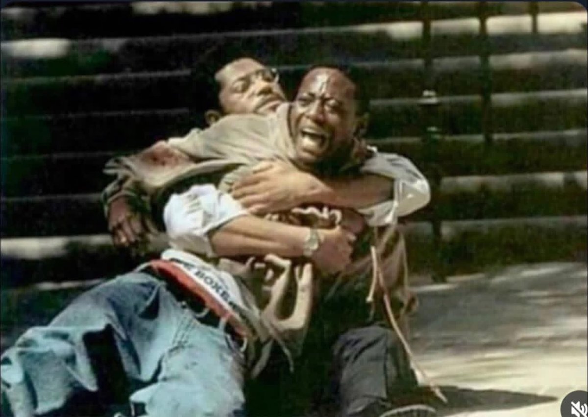 BoveiDaDonโฅ๏ธ๐ฆ tweet media