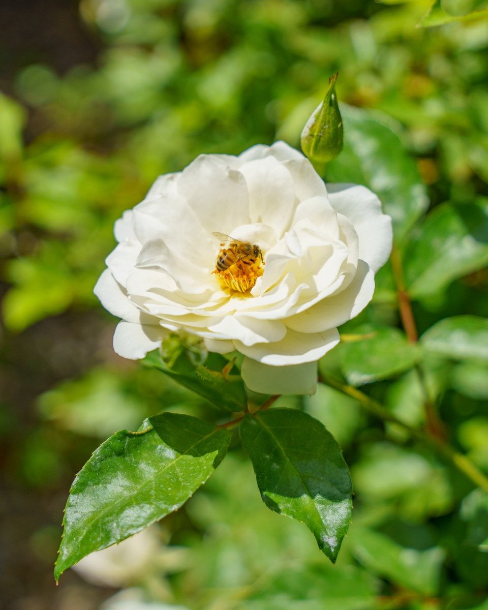 Home Design and Remodeling Show tweet media