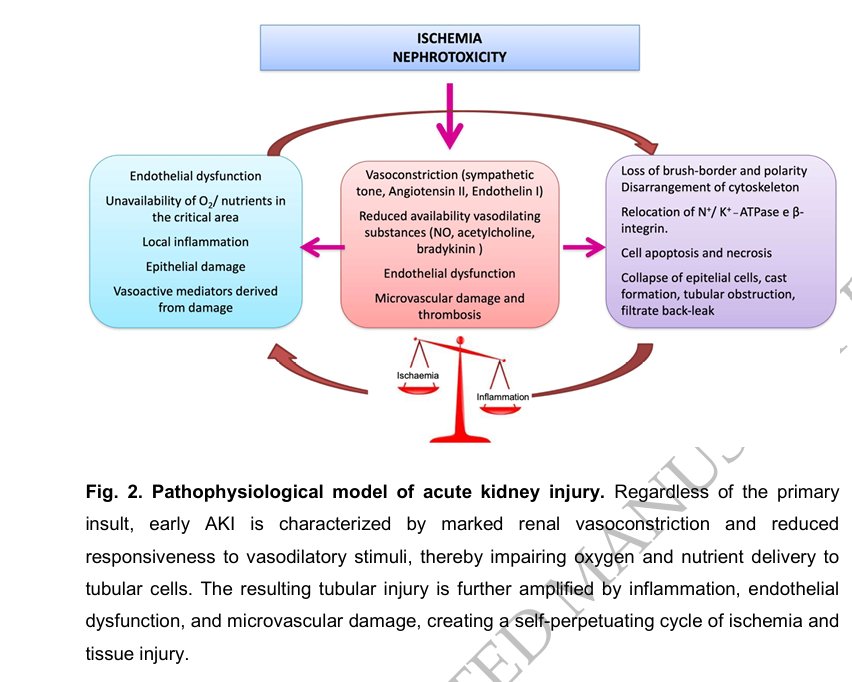Sayed S Rahman tweet media
