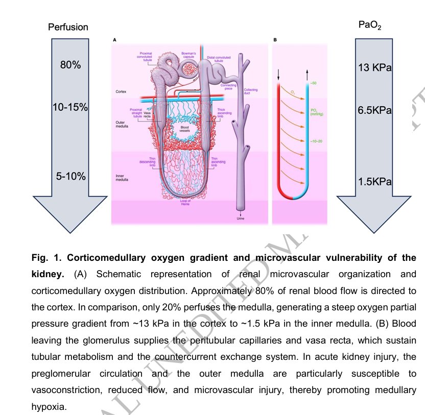 Sayed S Rahman tweet media