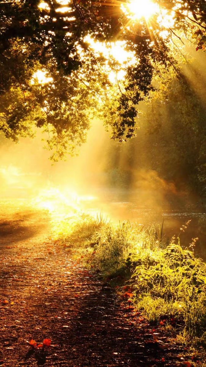 Anvar Ibragimov tweet media