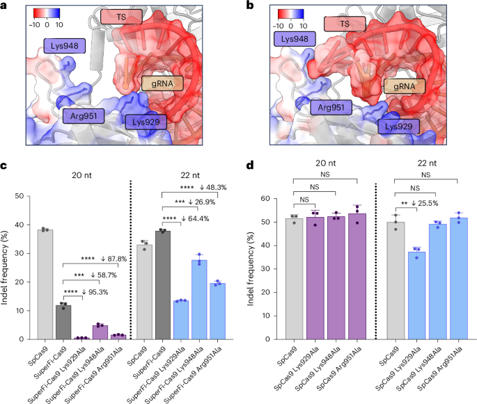 NatureStructMolBiol tweet media