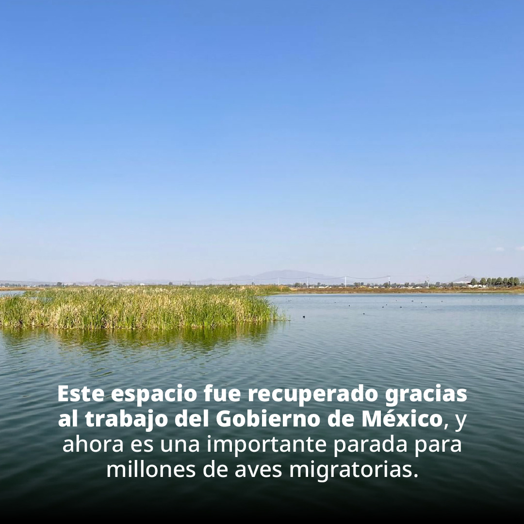 conagua_mx's tweet photo. ¡En la zona oriente del Valle de México se encuentra una de las reservas ecológicas más grandes del mundo!

El @GobiernoMX te invita a conocer y disfrutar el @PELTexcoco, donde podrás realizar actividades deportivas, recreativas y culturales. https://t.co/26hS8dq8lK