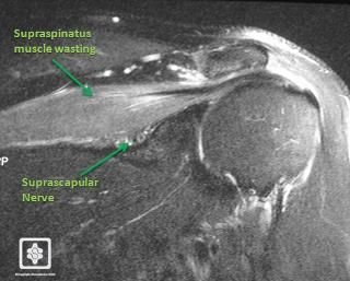 Evanglis tweet media