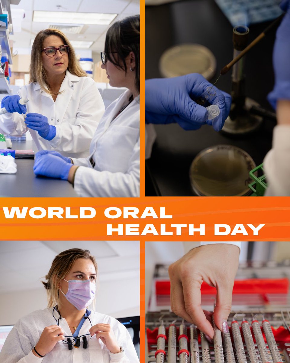 UF College of Dentistry tweet media