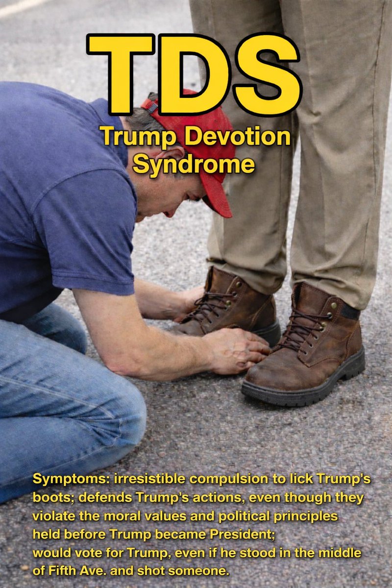 concisely cogent commentary tweet media