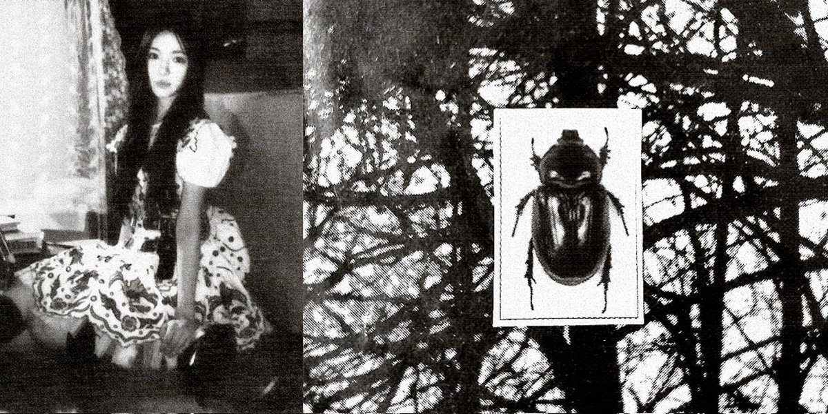 AMAYUNGI SARISHA tweet media