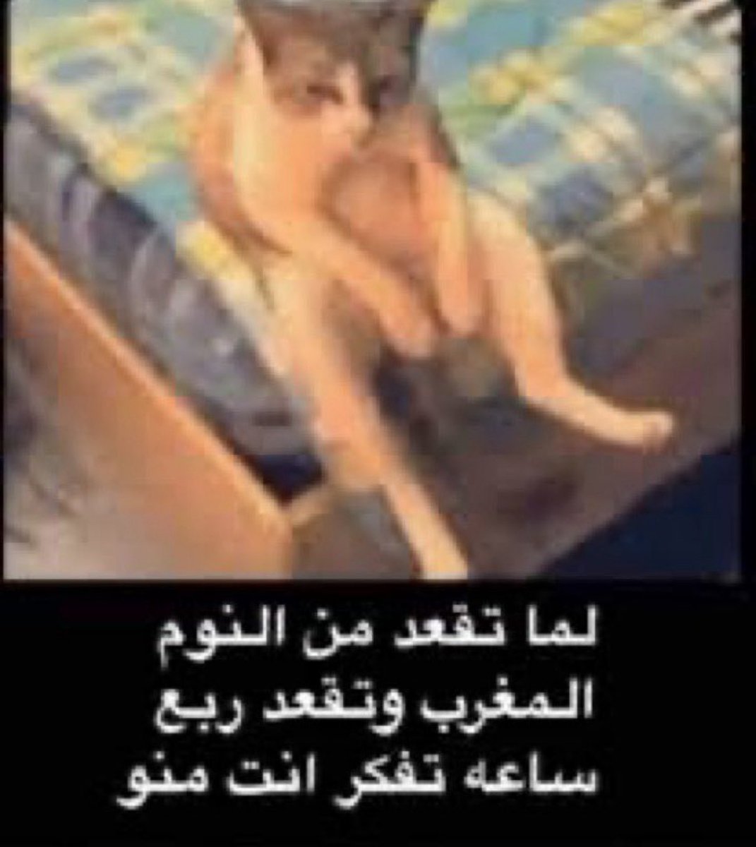 محمد tweet media