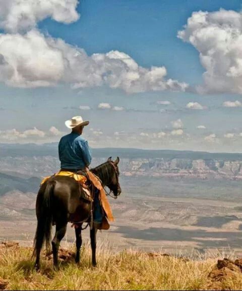 RedBalloon | Free to Work tweet media