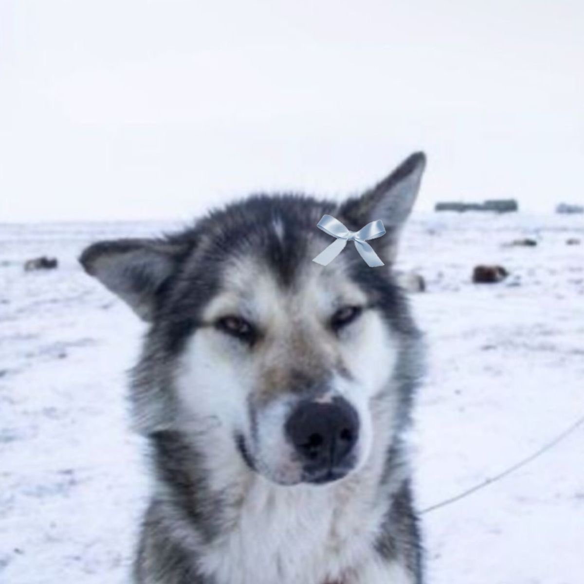 lala on fire✮⋆˙ tweet media