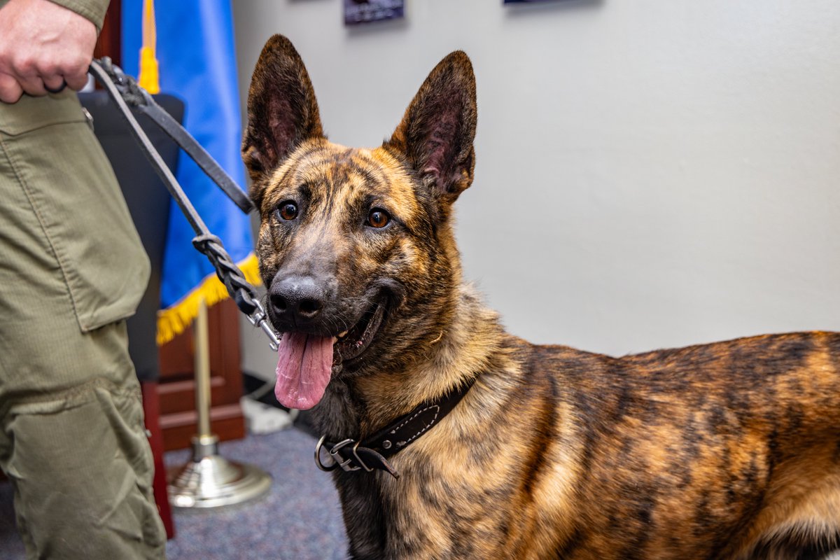 Washoe Sheriff tweet media