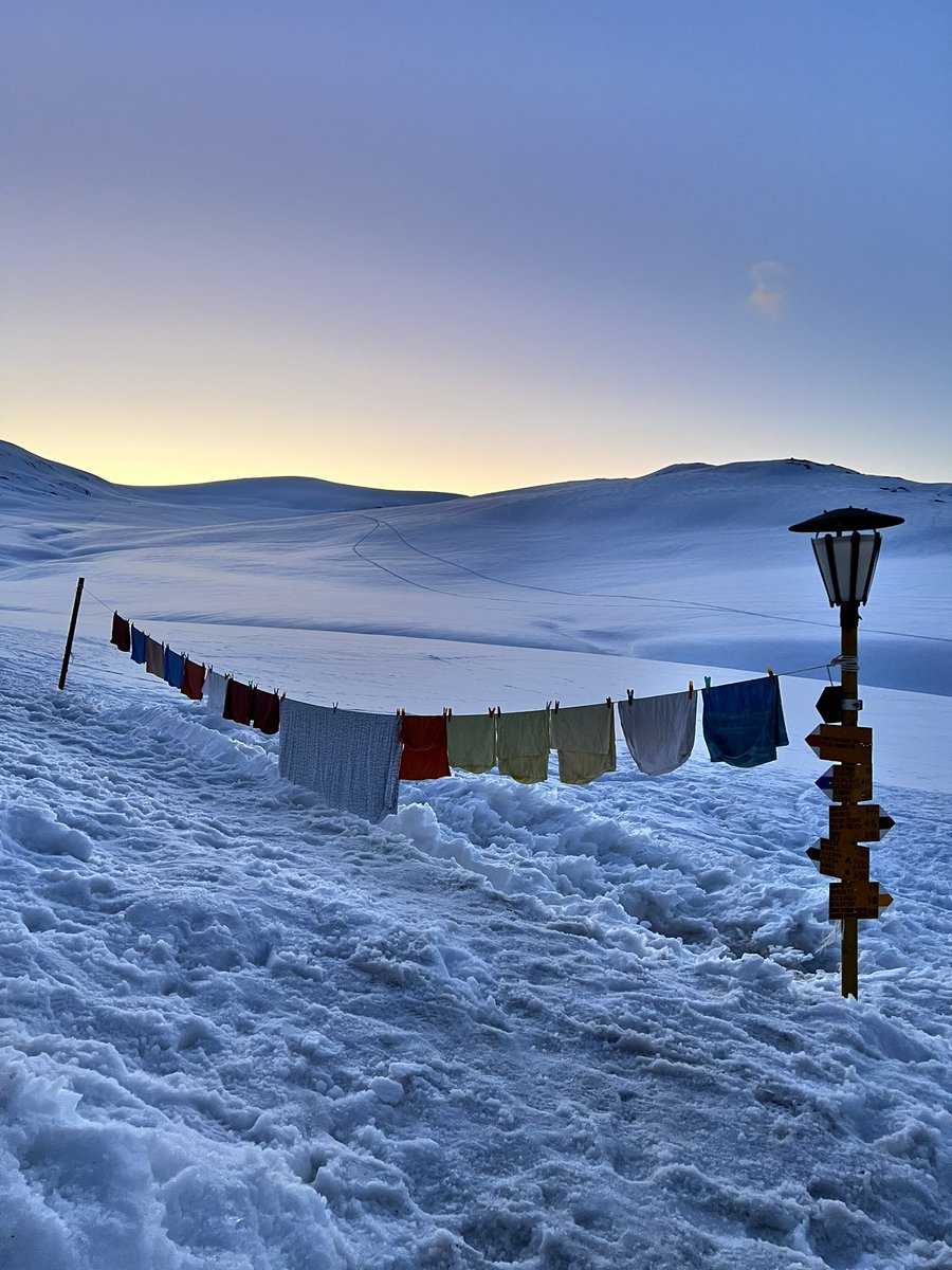 mortis 🪩 tweet media