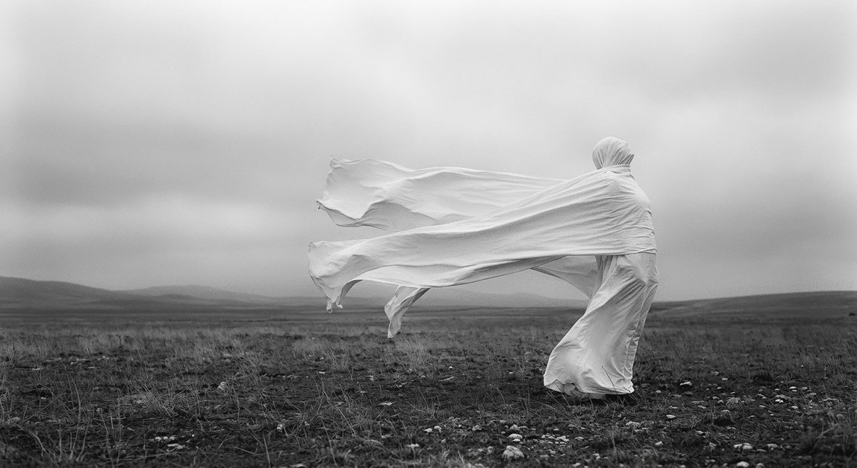 sude acar tweet media