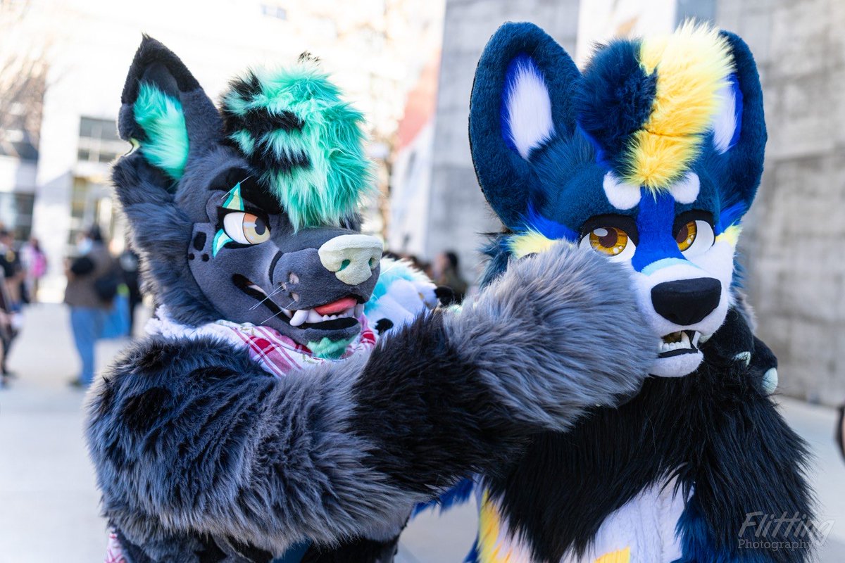 RykerHusky/Kureno tweet media