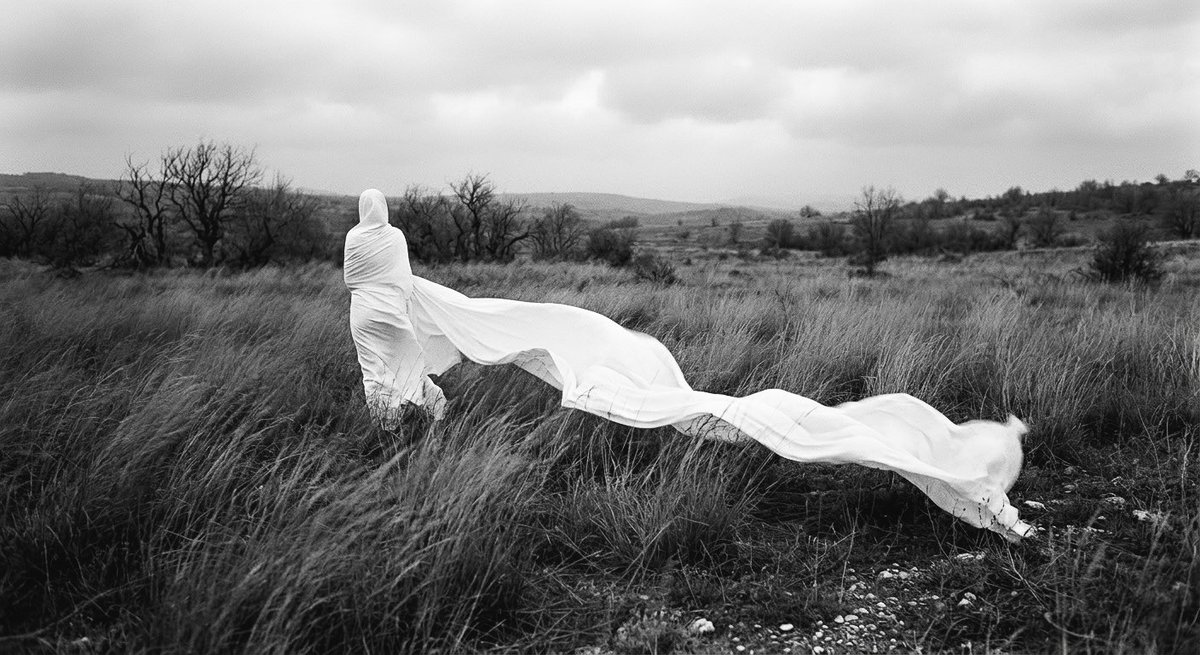 sude acar tweet media