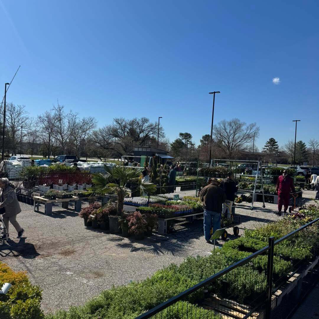 THEAVENUEatWM's tweet photo. They’re Open! Come on by to Second Chance Plants 🌺🪴 

They’re located in the lot to the rear of Kobe Japanese Steak &amp; Seafood House.

#HappyFirstDayOfSpring https://t.co/JMl7CT2SEm https://t.co/YN4Fb2ABGT