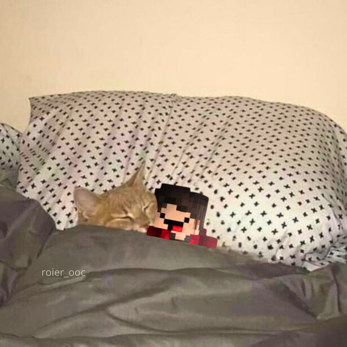 Roier Out of Context tweet media