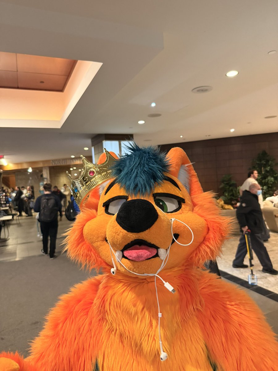 SumDingo🔜 FE tweet media