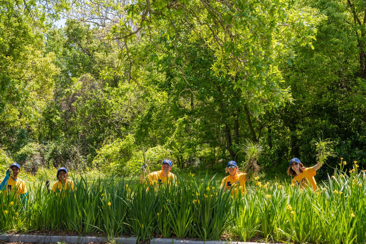 Keep Louisiana Beautiful tweet media