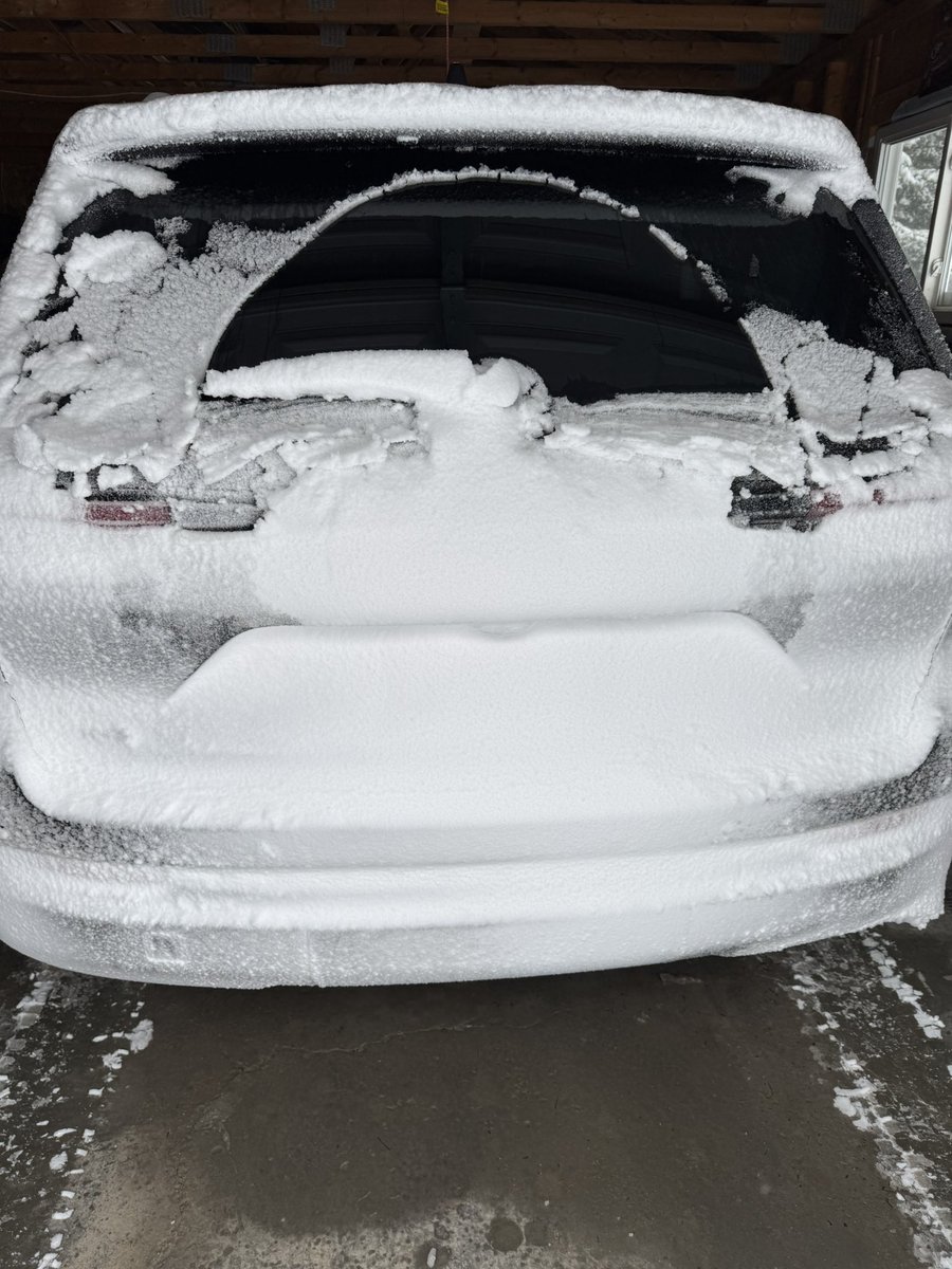 Judy Rose 🇨🇦 tweet media