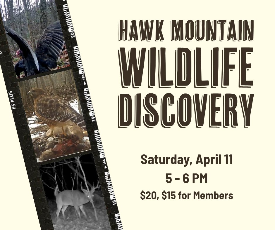 Hawk Mountain tweet media