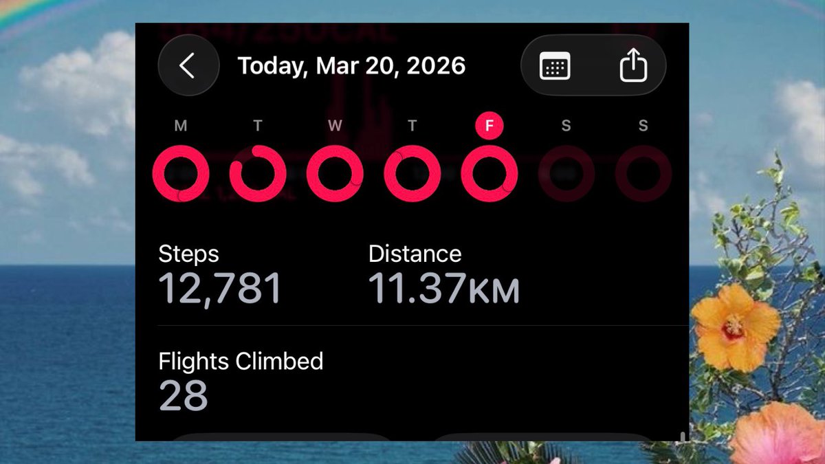 Alex ☆ tweet media