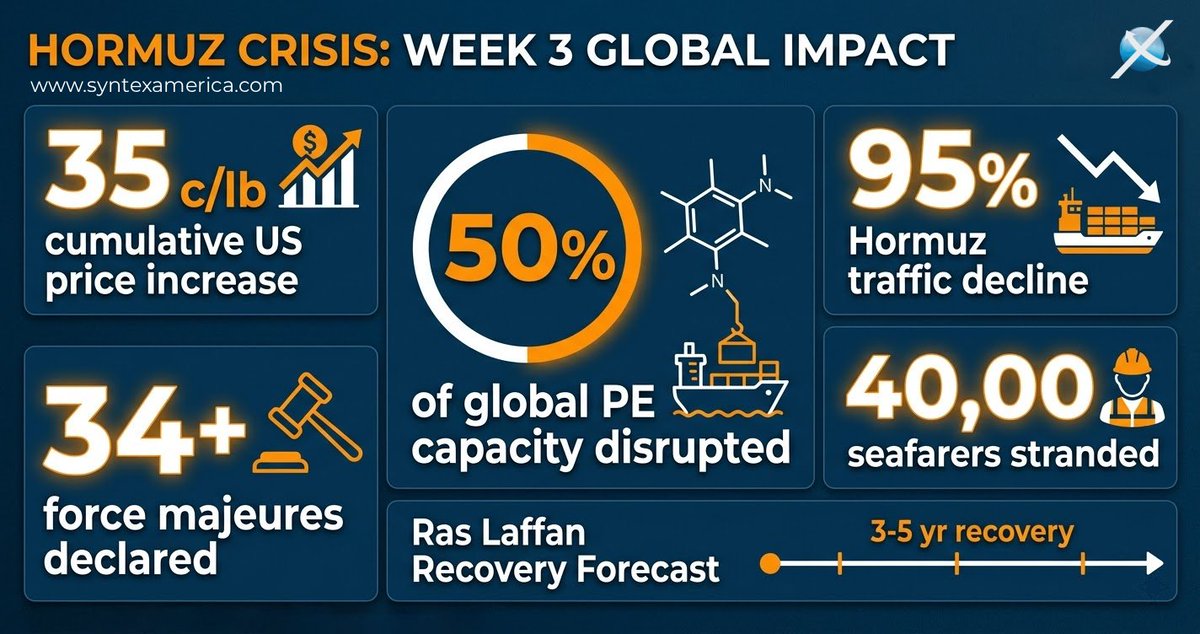 Syntex America tweet media