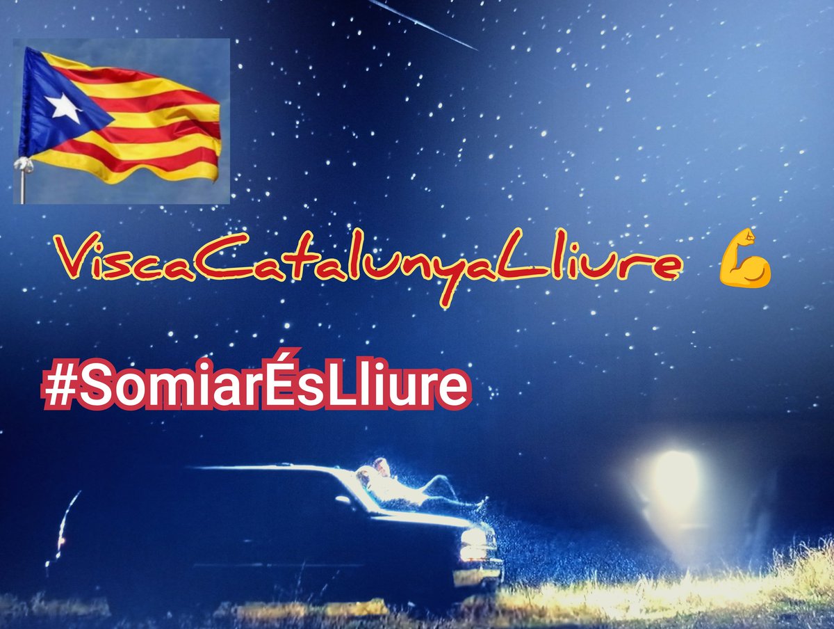 Maneltec tweet media