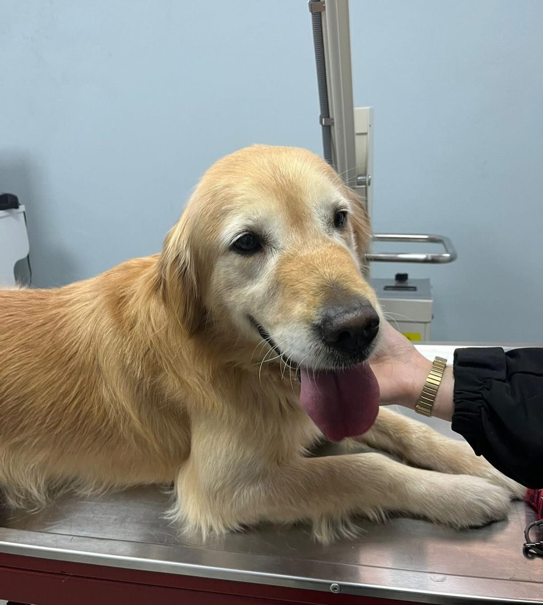 Zülal Kutluer tweet media