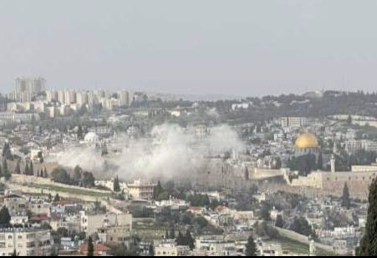 Michal/Michele -מיכל✡️ 🟦 tweet media