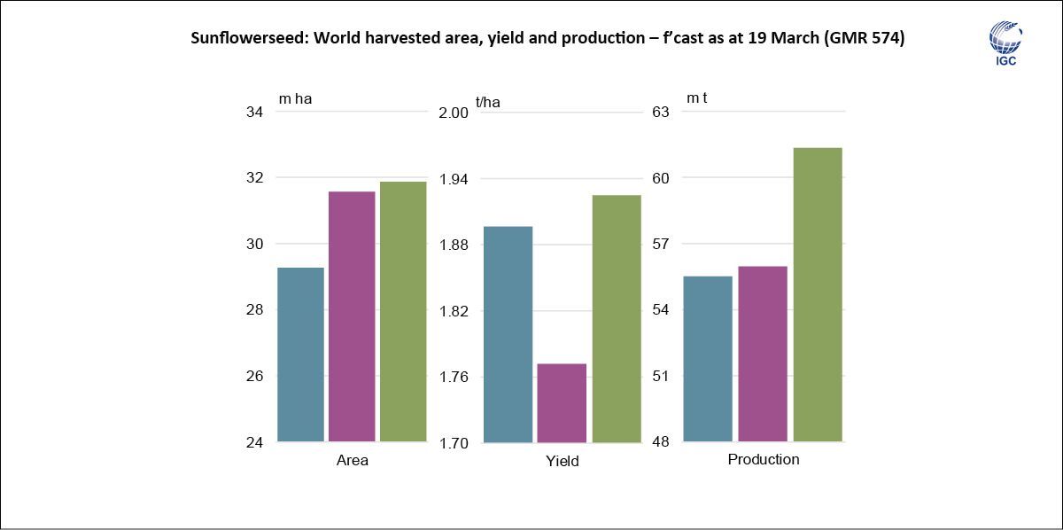 IGCgrains's tweet image. The Council tentatively forecasts global #sunflowerseed #production at a fresh peak in 2026/27, assuming a recovery in average #yields in the #EU, #Ukraine and, to a lesser extent, in #Russia.