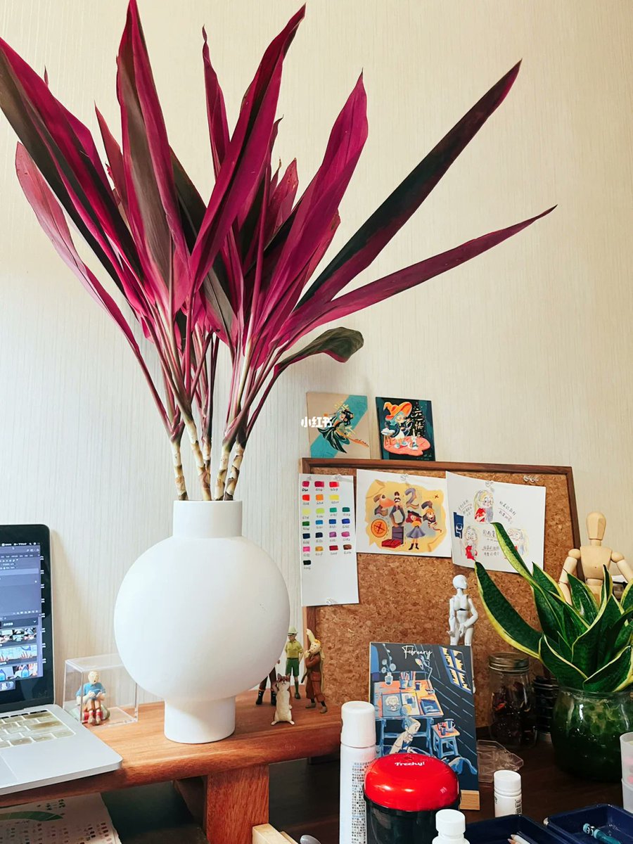 Julie DEVOS tweet media