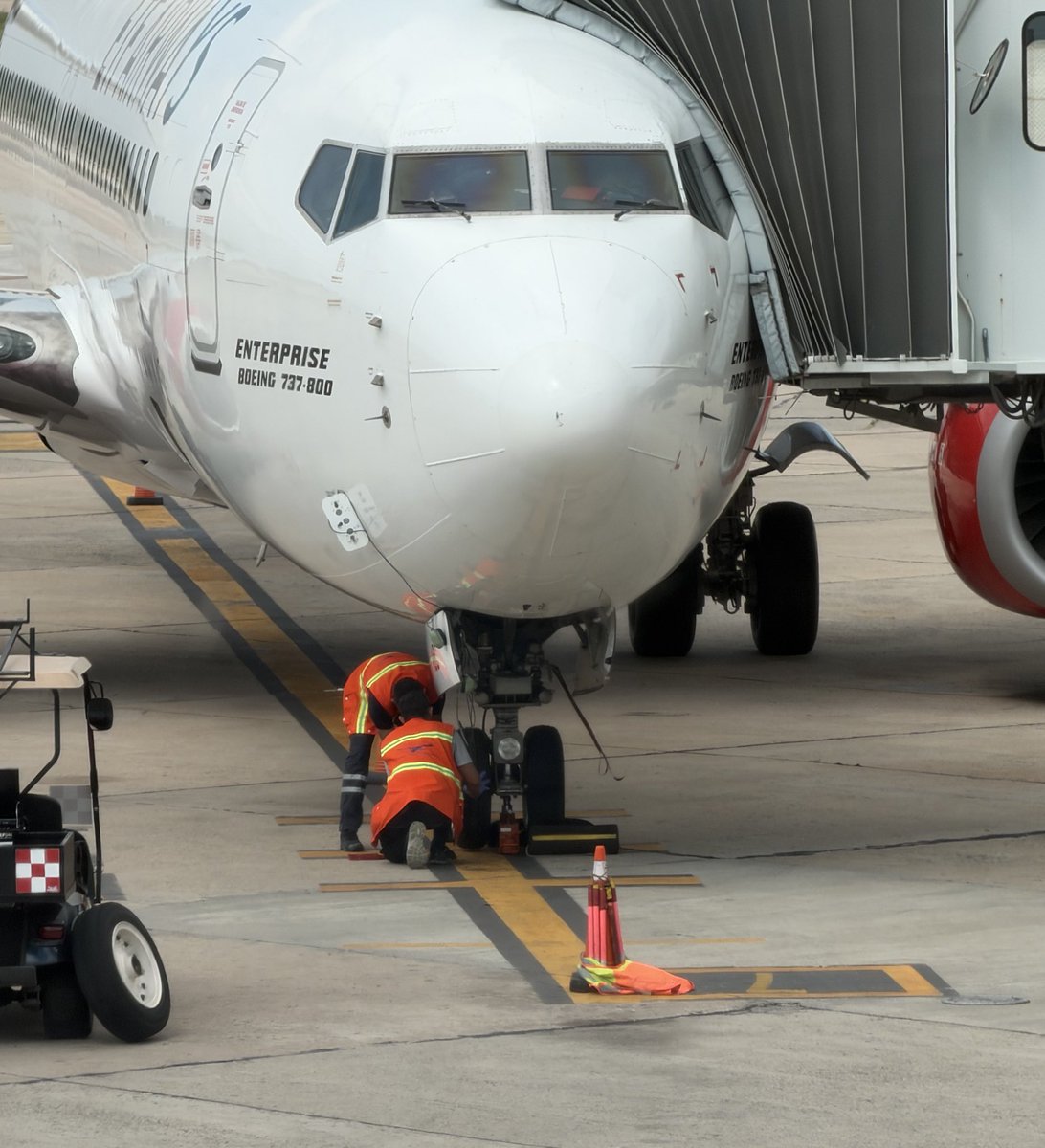Mr. Dora la Explicadora 🏳️🌈 tweet media