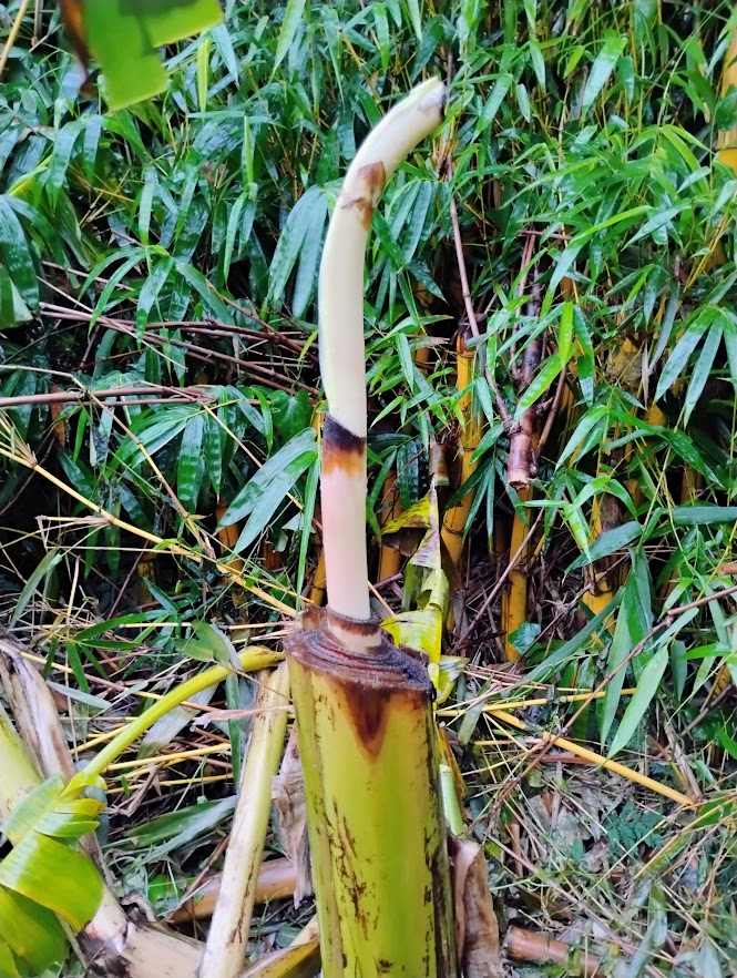 Tod Hale tweet media