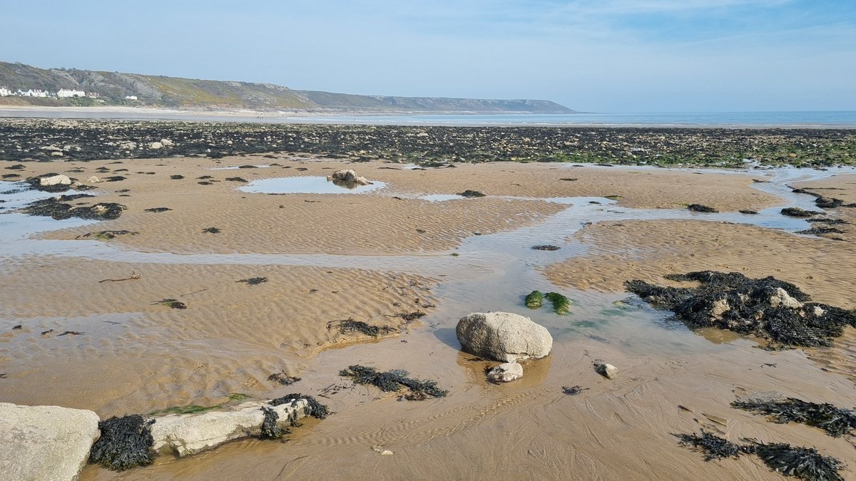 Duncan Willis tweet media