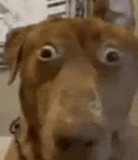 Shaun||COMMS OPEN|| tweet media