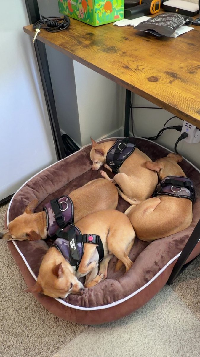 Todd Clark tweet media