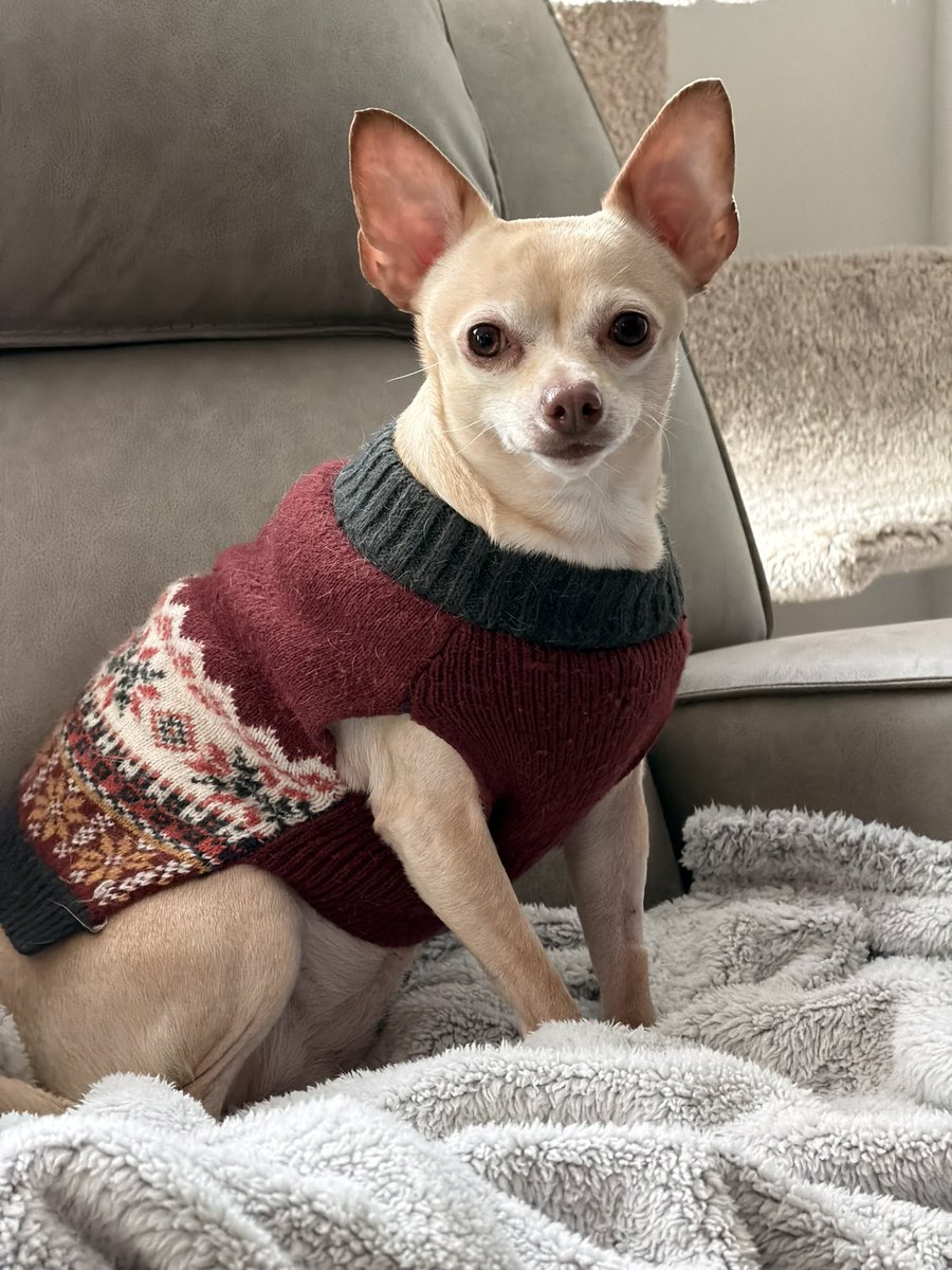 Todd Clark tweet media