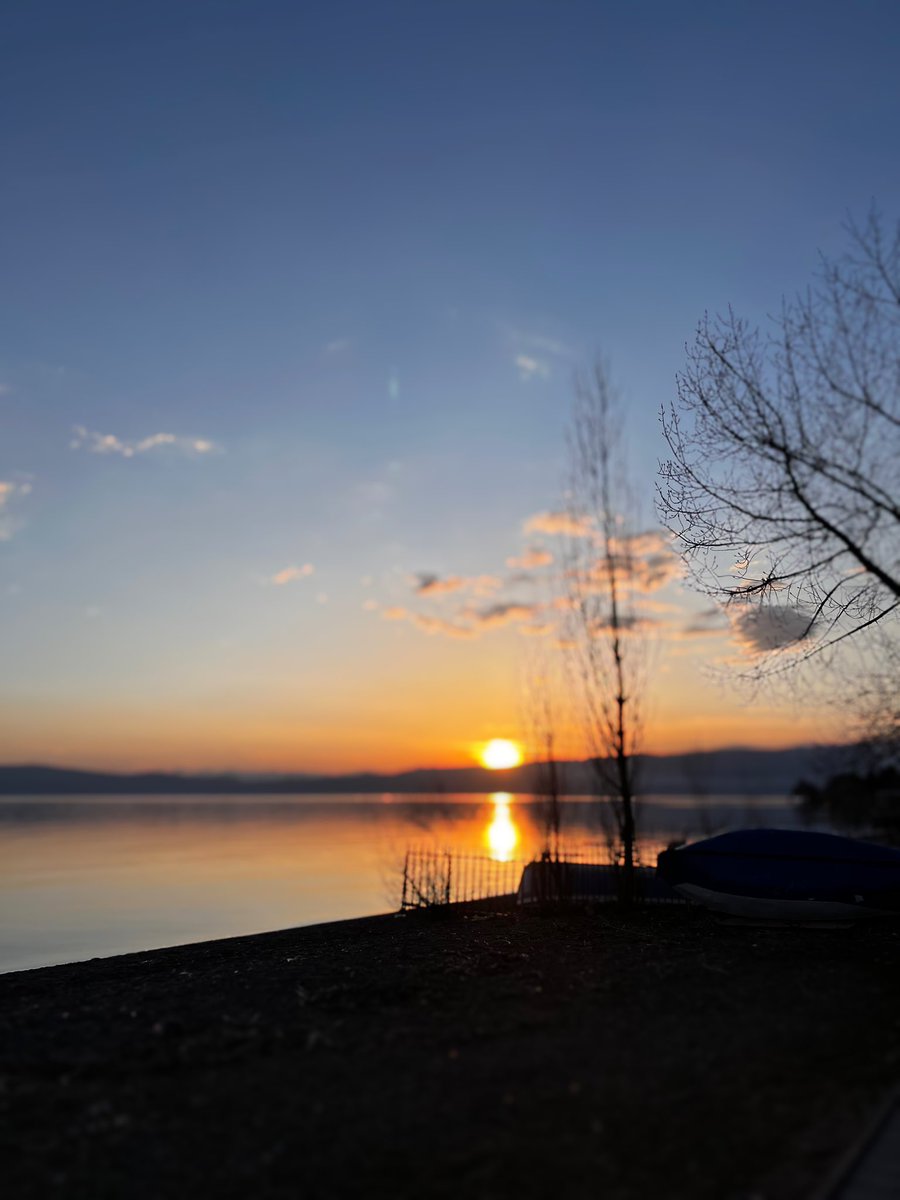 Diana 🦋 tweet media