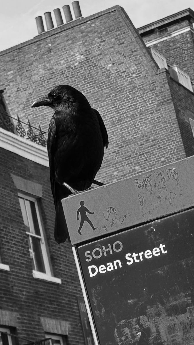 disruptiveptns's tweet image. Dean Street, Soho #soho