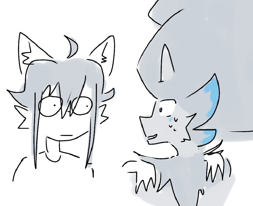 stardown tweet media