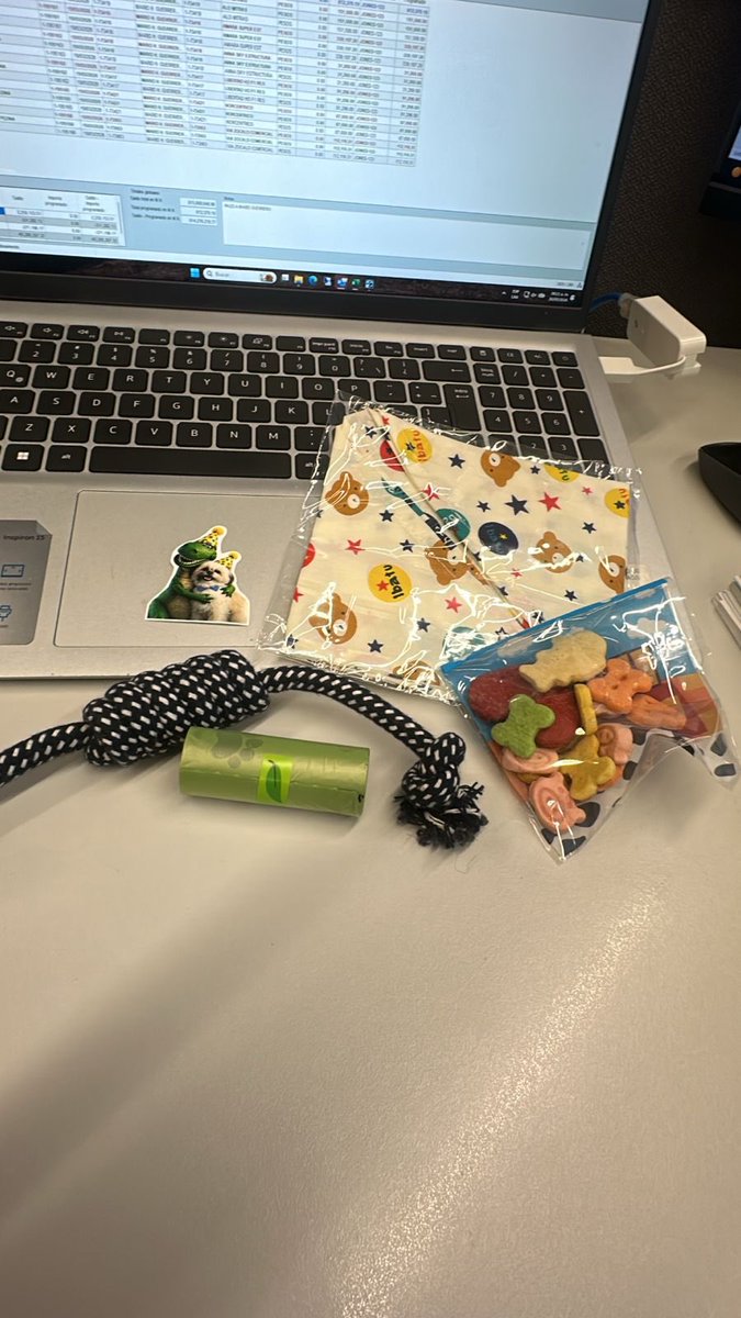 AnaRamirezVi's tweet photo. Kiara tiene más vida social que yo y sin salir de casa 🫠 ya tengo ideas para su primer año jaja https://t.co/ugkPAnkTZ8