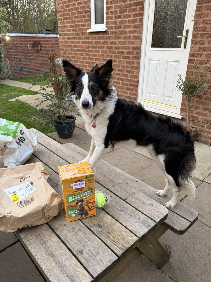 Puppy Bess and Auntie Kes tweet media