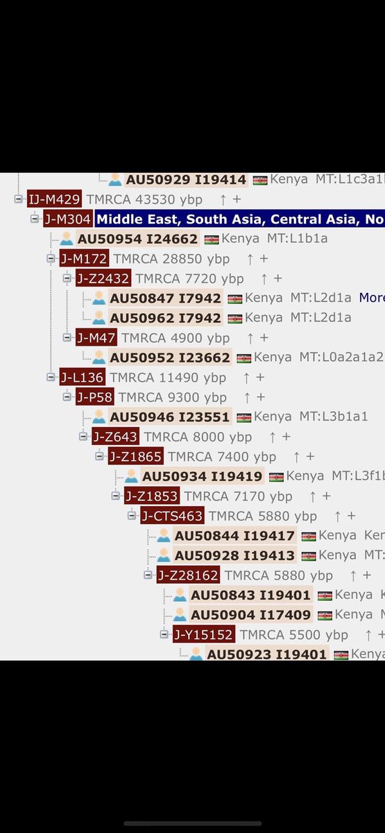 اﻟﻌﺑﺩﻟﻲ tweet media